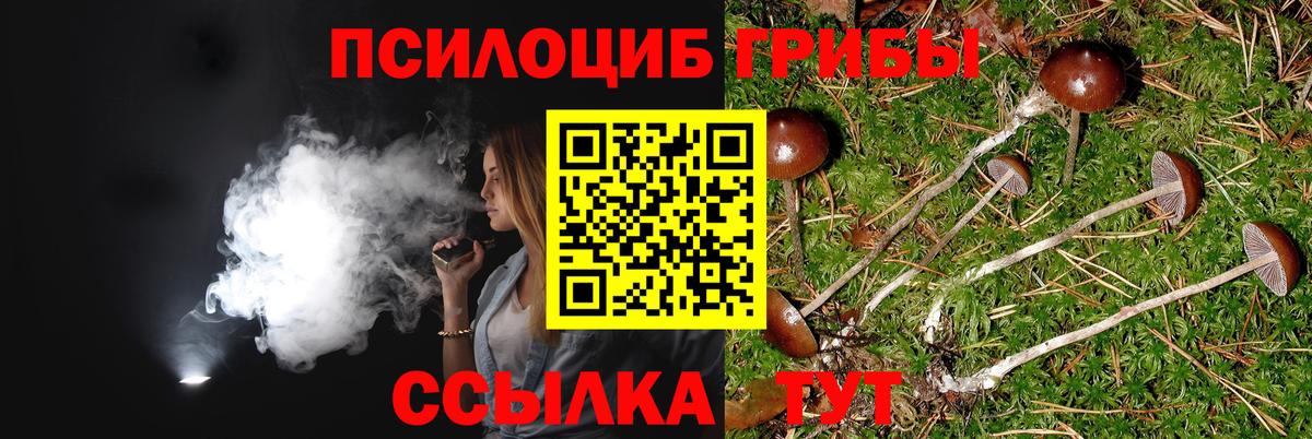 Галлюциногенные грибы Psilocybe  Вход с VPN  Крымск 